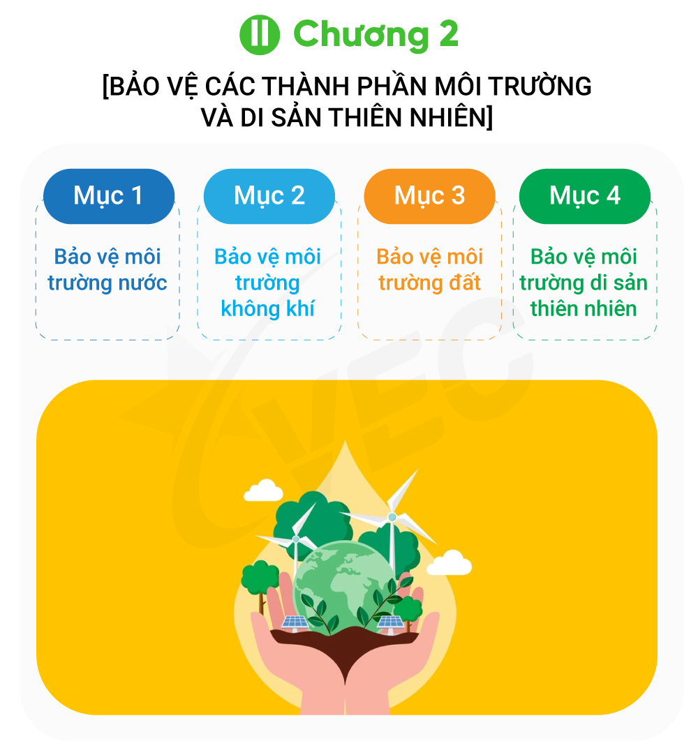 infographic VEC về nghị định 08/2022/NĐ-CP-C2