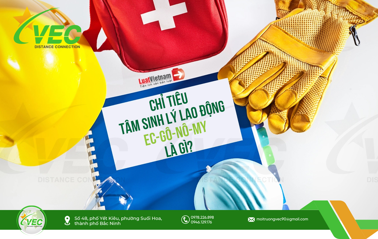 Chỉ tiêu tâm sinh lý lao động Ec-gô-nô-my là gì?