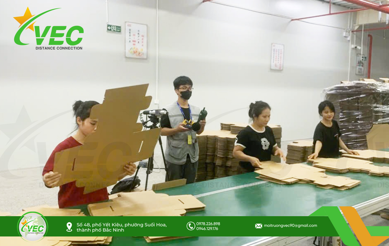 Chỉ Tiêu Tâm Sinh Lý Lao Động Ec-gô-nô-my là gì